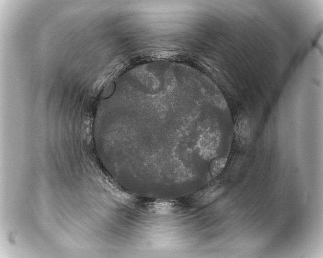 X0000101450462200808041022