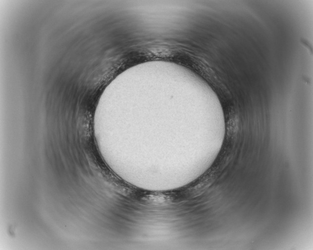 X0000101450464200808041023