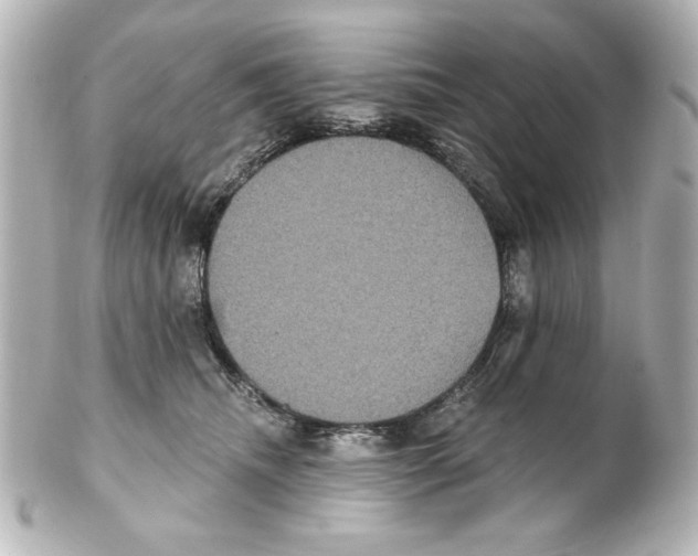 X0000101450468200808041023