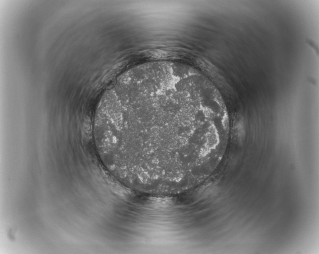 X0000101450469200808041023