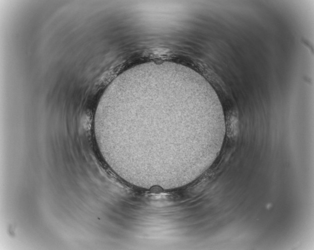 X0000101450472200808041023