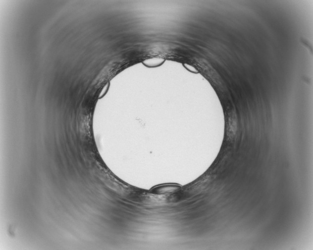 X0000101450473200808041023