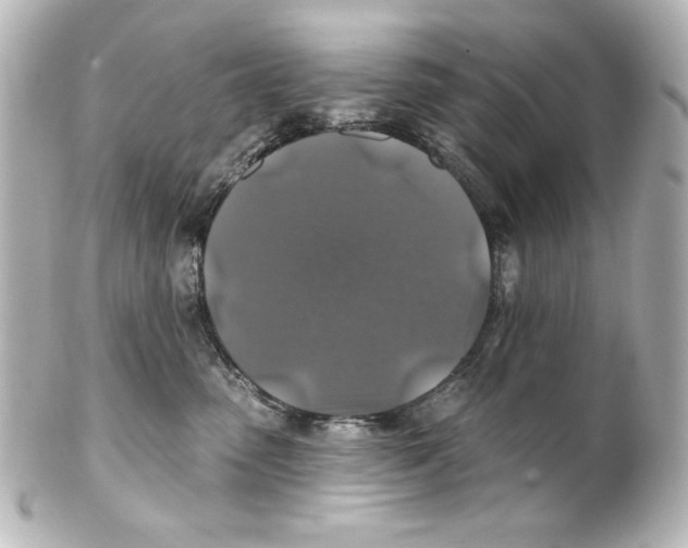 X0000101450475200808041023