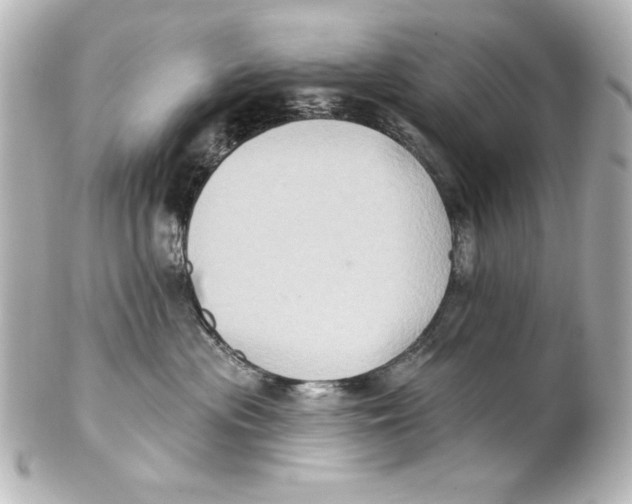 X0000101450477200808041023