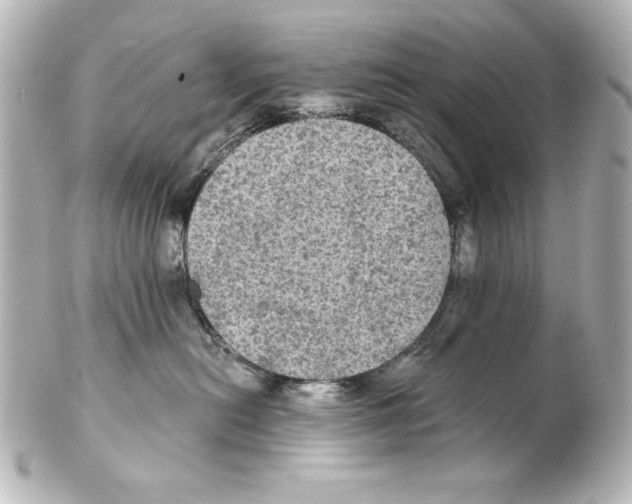 X0000101450478200808041023