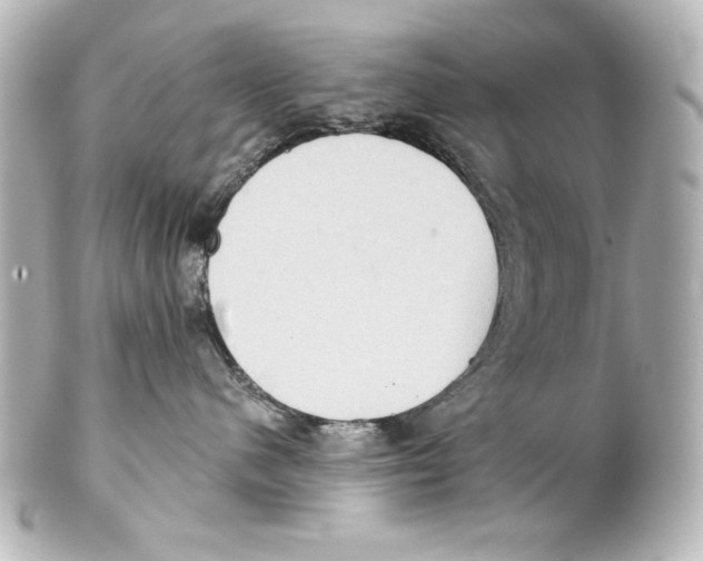 X0000101450480200808041023