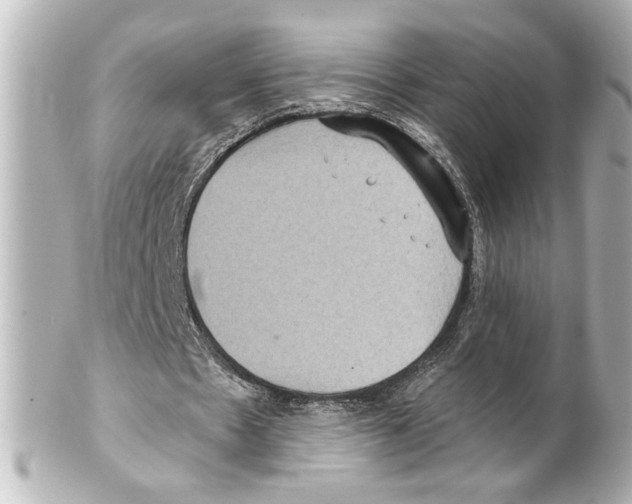 X0000101450481200808041022