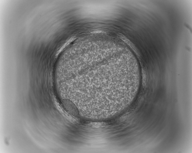 X0000101450482200808041022