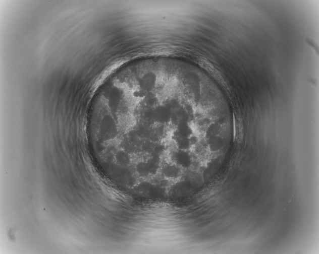 X0000101450483200808041022