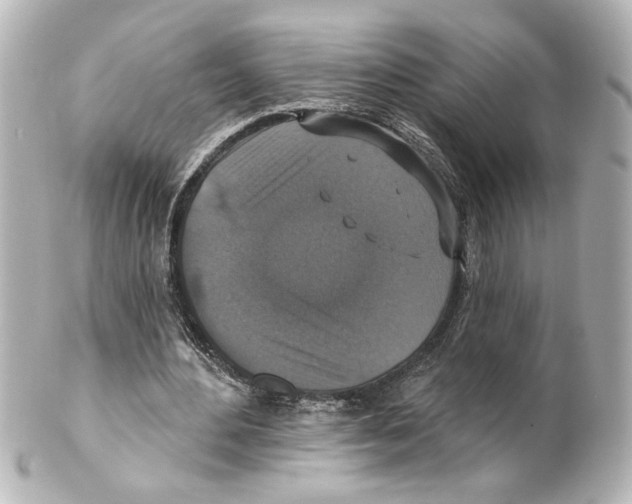 X0000101450484200808041022