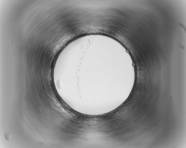 X0000101450485200808041022