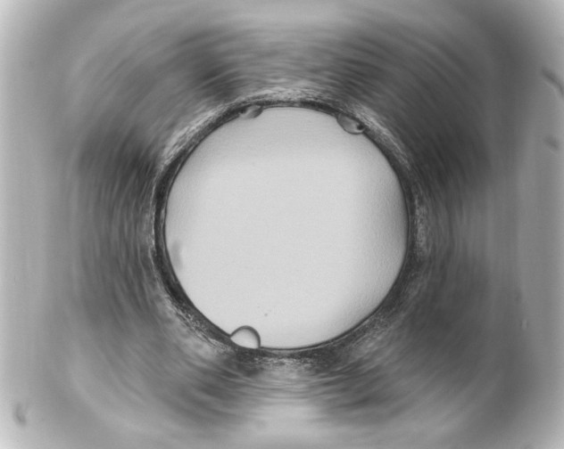 X0000101450486200808041022