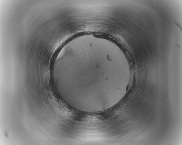 X0000101450488200808041022