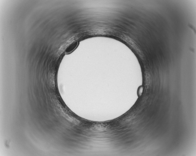 X0000101450489200808041022