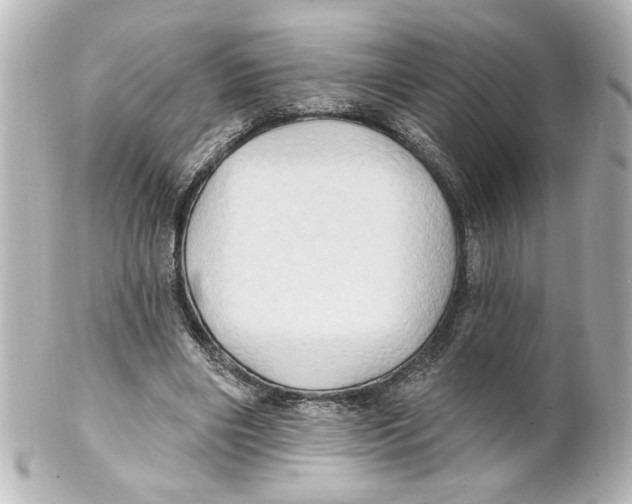 X0000101450490200808041022