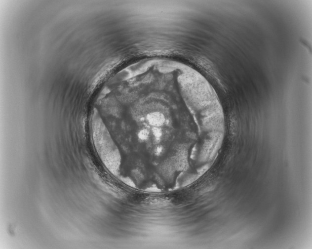 X0000101450491200808041022