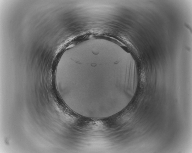 X0000101450492200808041022