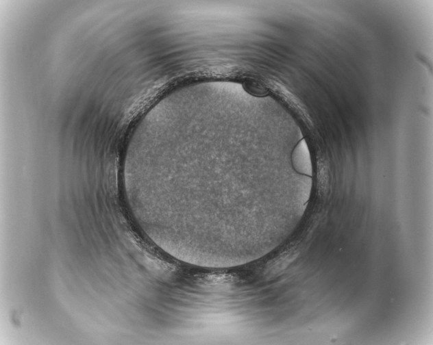 X0000101450493200808041022