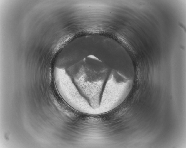 X0000101450494200808041022