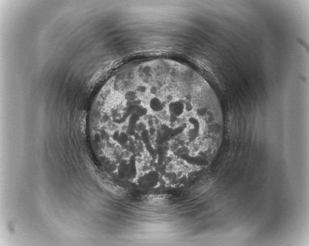 X0000101450495200808041022