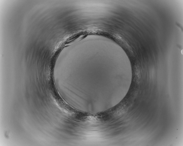 X0000101450496200808041022