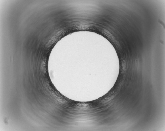 X0000101450497200808041022