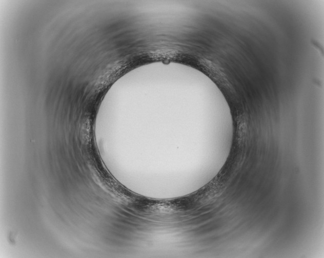 X0000101450498200808041022