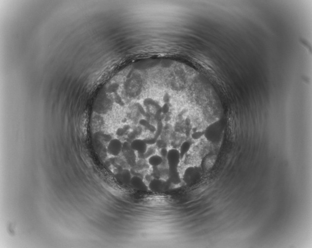 X0000101450499200808041022