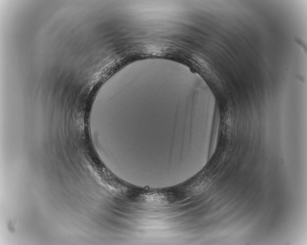 X0000101450500200808041022