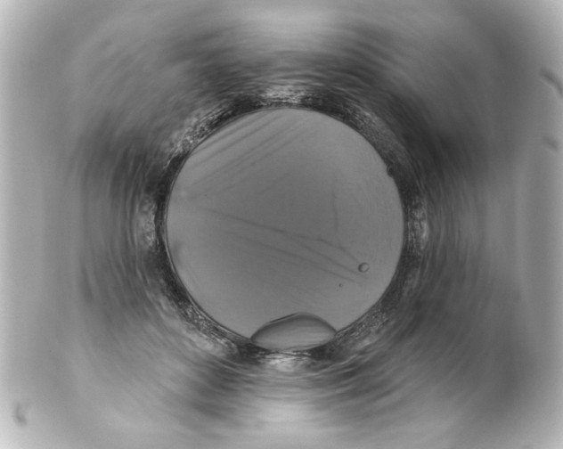 X0000101450504200808041022