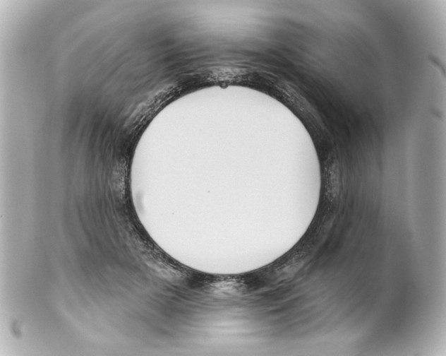 X0000101450505200808041022