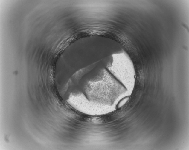 X0000101450506200808041022