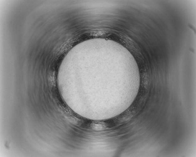 X0000101450510200808041022