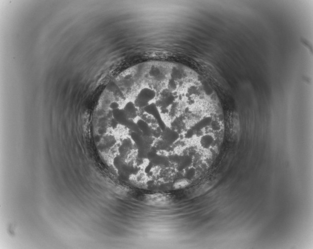 X0000101450511200808041021