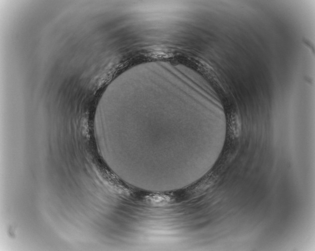 X0000101450512200808041021