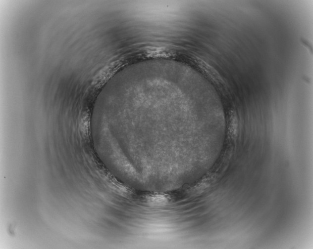 X0000101450513200808041021