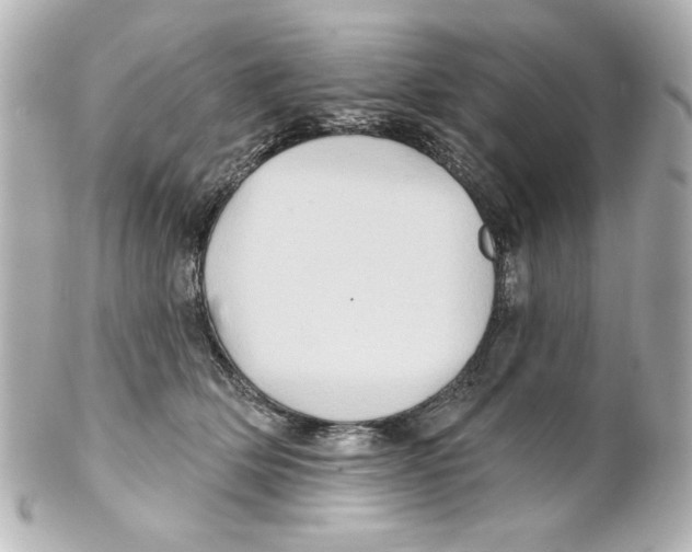 X0000101450514200808041021