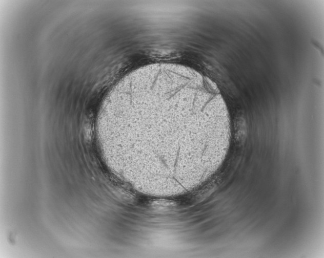 X0000101450515200808041021