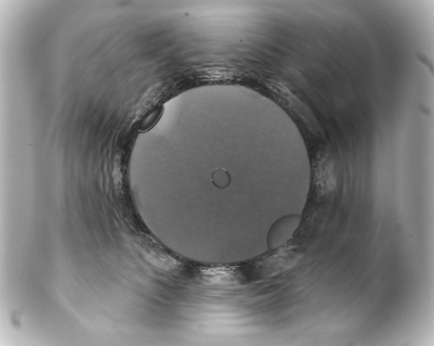 X0000101450516200808041021