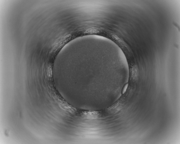 X0000101450517200808041021