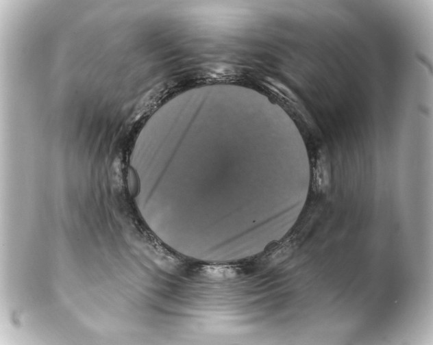 X0000101450520200808041021