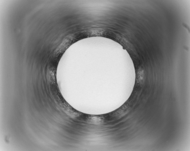 X0000101450522200808041021