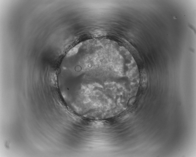 X0000101450523200808041021