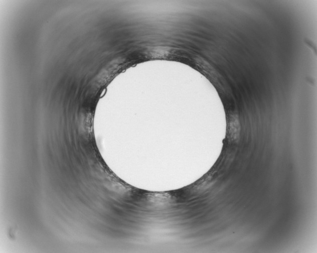 X0000101450525200808041021