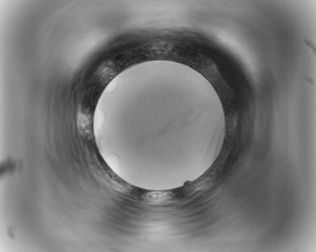 X0000101450526200808041021