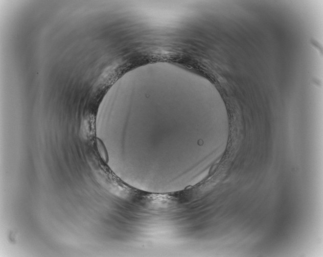 X0000101450528200808041021