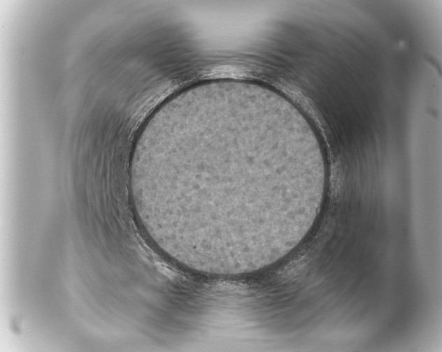 X0000101450529200808041021