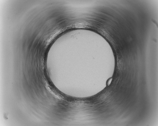 X0000101450530200808041021