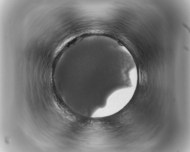 X0000101450531200808041021