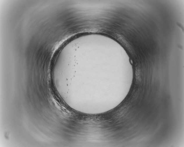 X0000101450532200808041021